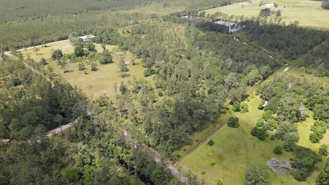 2388 Fish Lake Rd, Kountze, TX 77625 - photo 11