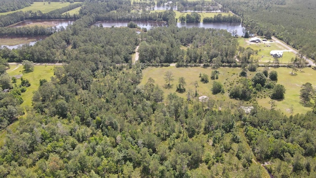 2388 Fish Lake Rd, Kountze, TX 77625 - photo 5