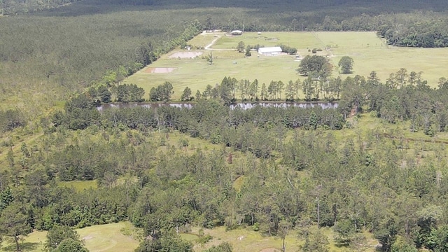 2388 Fish Lake Rd, Kountze, TX 77625 - photo 33