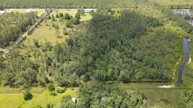 2388 Fish Lake Rd, Kountze, TX 77625 - photo 10