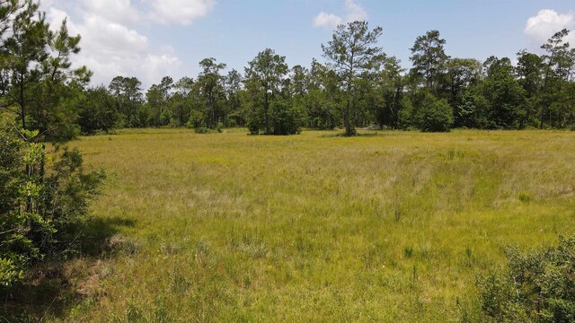 2388 Fish Lake Rd, Kountze, TX 77625 - photo 23