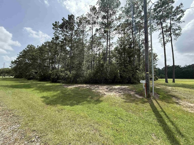 9150 Grizzly Dr, Kountze, TX 77625 - photo 4