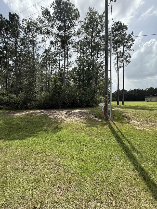 9150 Grizzly Dr, Kountze, TX 77625 - photo 5