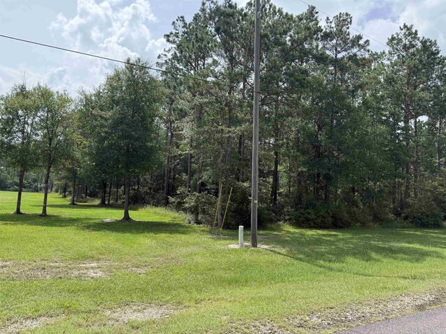 9150 Grizzly Dr, Kountze, TX 77625 - photo 1