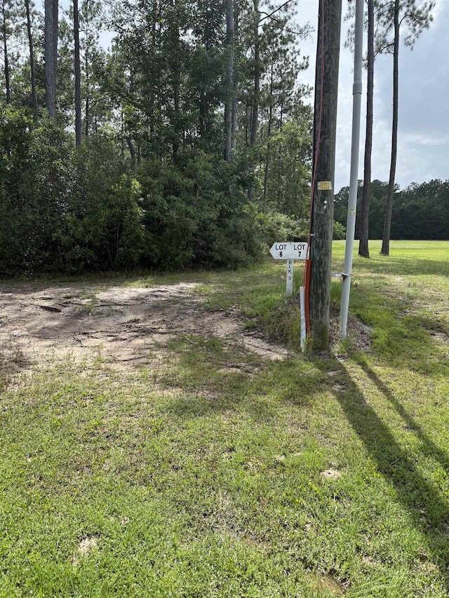 9150 Grizzly Dr, Kountze, TX 77625 - photo 3