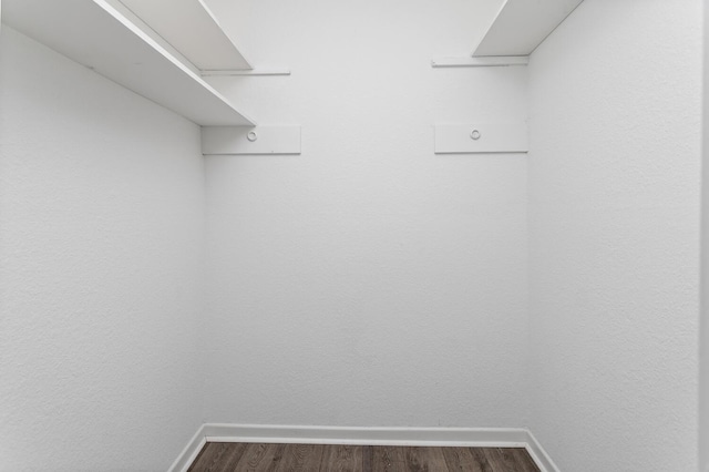 spacious closet with wood-type flooring