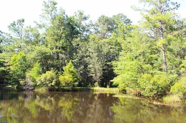 455 Creekwood Dr, Lumberton, TX 77657 - water view featuring a forest view