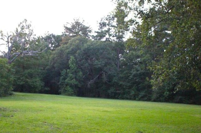 455 Creekwood Dr, Lumberton, TX 77657 - view of yard