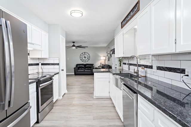 kitchen featuring appliances with stainless steel finishes, white cabinetry, a sink, and under cabinet range hood