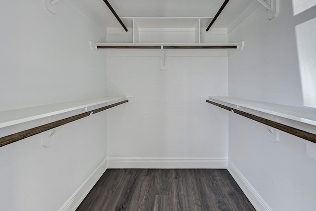 spacious closet featuring dark hardwood / wood-style floors