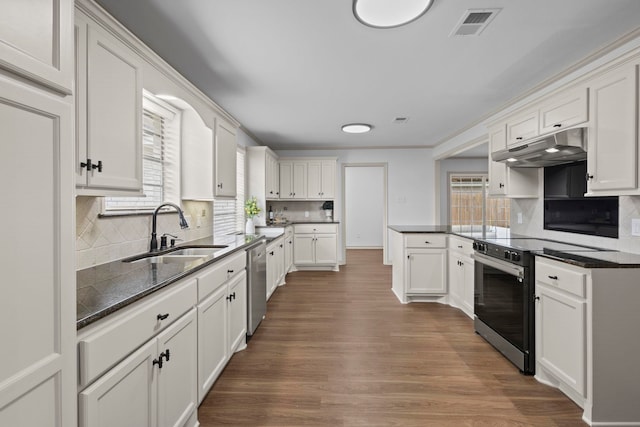 kitchen with a sink, visible vents, electric range oven, dishwasher, and under cabinet range hood
