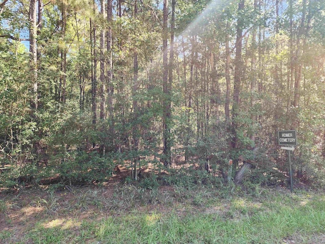 Listing photo 3 for 3.786AC County Road 023, Jasper TX 75951