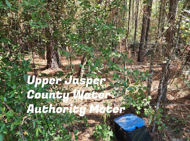 Listing photo 2 for 3.786AC County Road 023, Jasper TX 75951