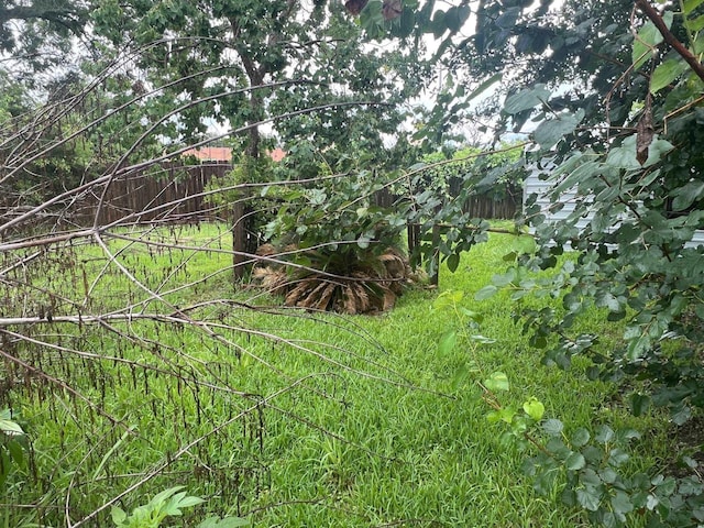 3808 Rachel Ave, Port Arthur, TX 77642 - view of local wilderness