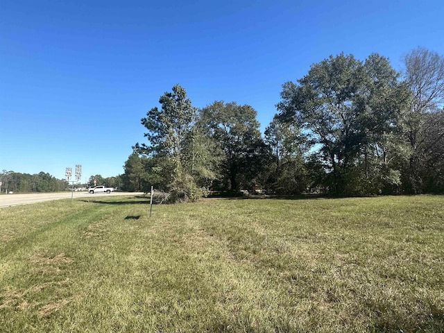 Listing photo 3 for TBD US Highway 96, Buna TX 77612