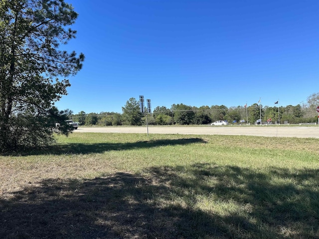 Listing photo 2 for TBD US Highway 96, Buna TX 77612