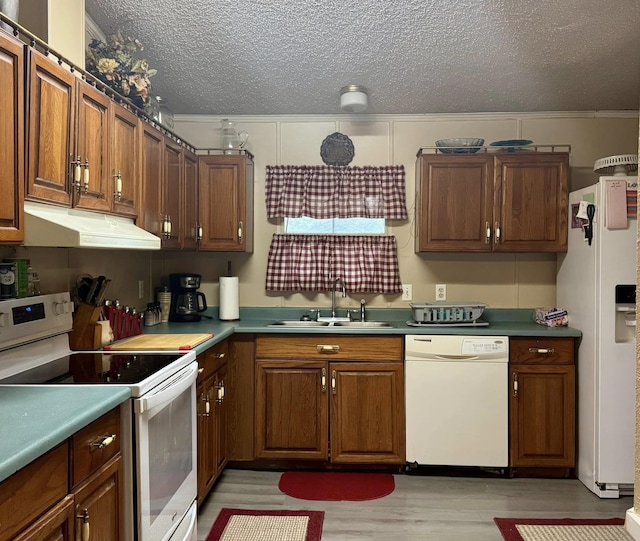 kitchen with a textured ceiling, white appliances, and sink