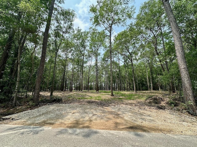 0000 Sweetgum, Lumberton TX, 77657 land for sale