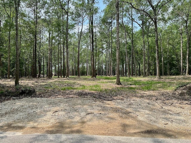 Listing photo 3 for 0000 Sweetgum, Lumberton TX 77657