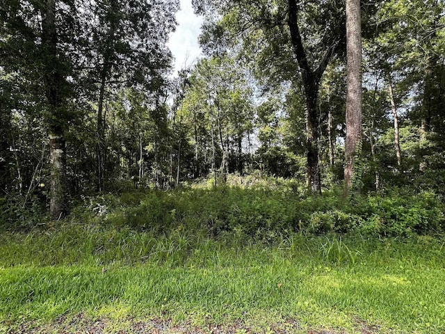 Patricia St, Orange, TX 77632 - photo 1