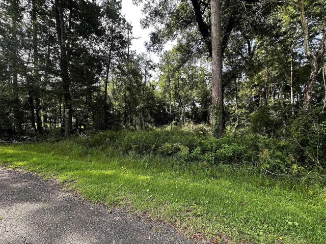 Patricia St, Orange, TX 77632 - photo 4
