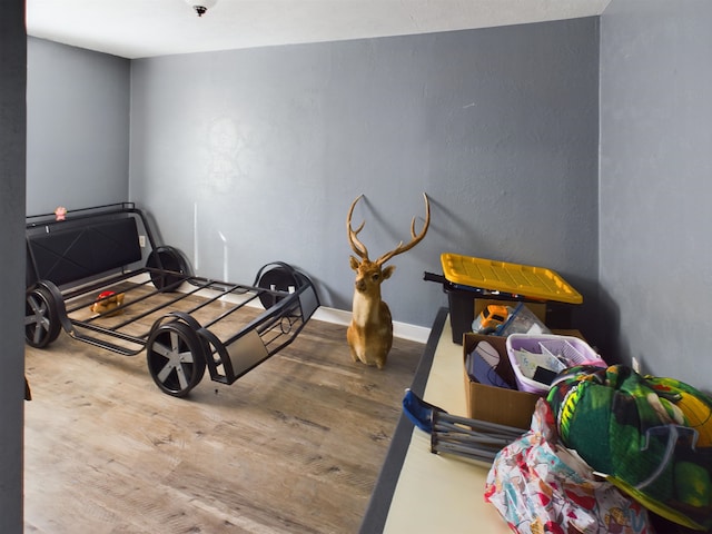 interior space featuring hardwood / wood-style floors