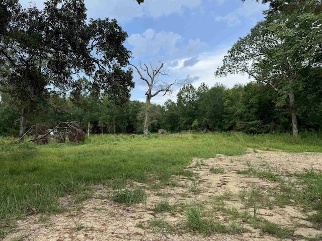 4130 Lakeview Cut-Off, Vidor TX, 77662 land for sale