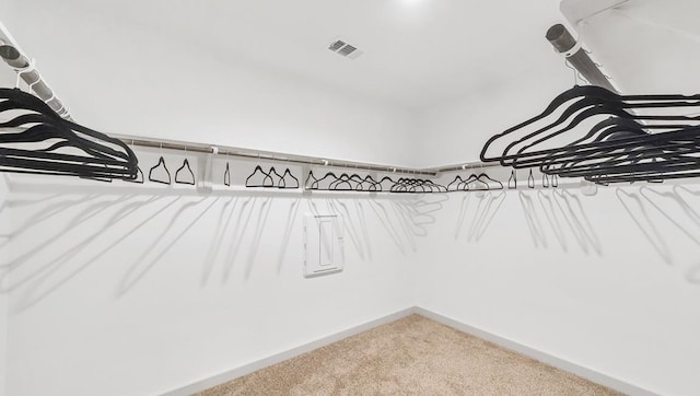 walk in closet featuring carpet and visible vents