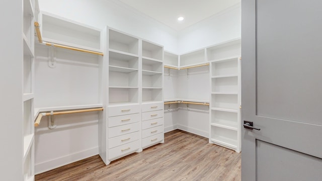 spacious closet featuring light hardwood / wood-style flooring