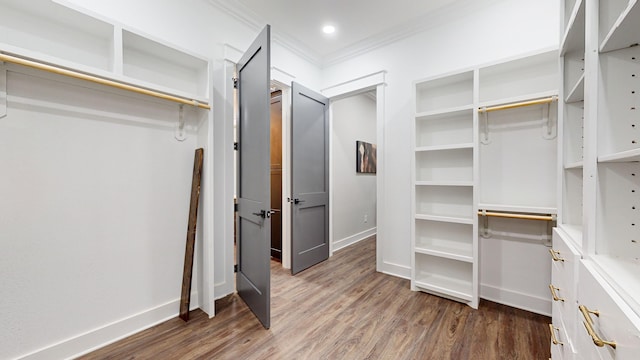 walk in closet with dark hardwood / wood-style floors