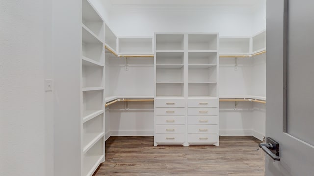 spacious closet featuring hardwood / wood-style floors