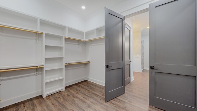 walk in closet with hardwood / wood-style flooring