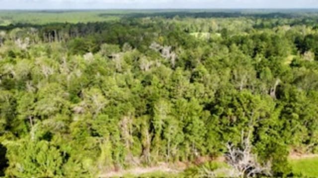birds eye view of property featuring a forest view