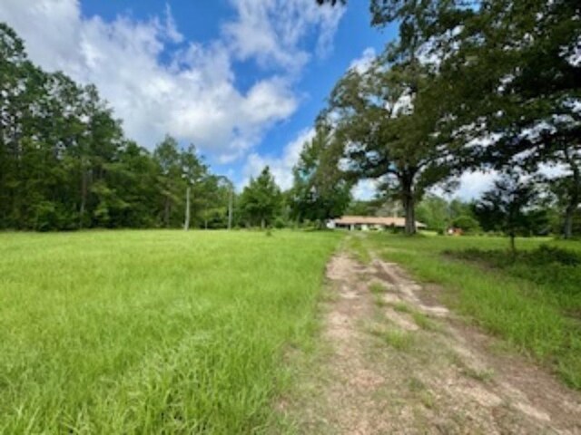 view of road featuring driveway