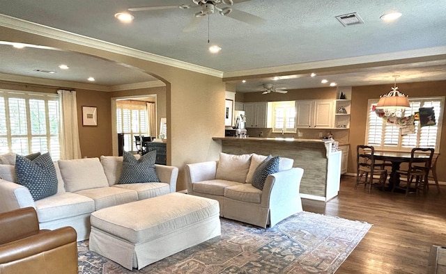 living room featuring a textured ceiling, ornamental molding, and dark wood-type flooring