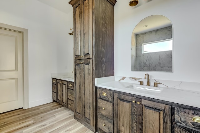 bathroom with hardwood / wood-style flooring and vanity