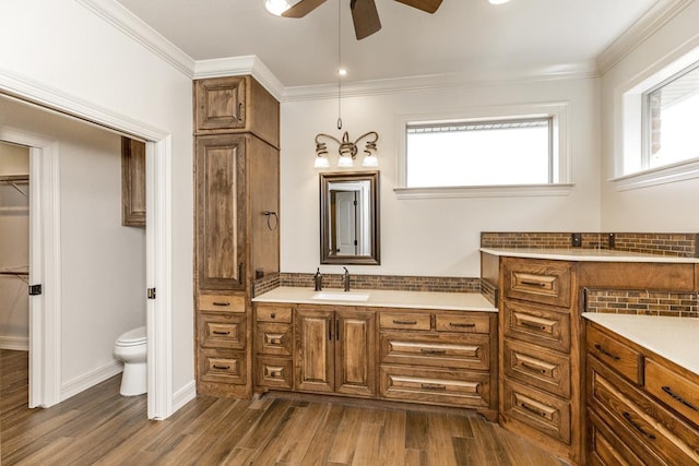 bathroom featuring ornamental molding, plenty of natural light, hardwood / wood-style floors, and vanity