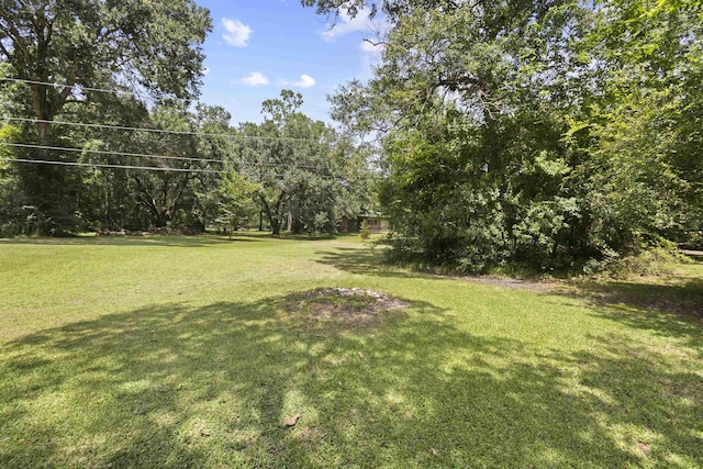 3042 Parish Cemetery Rd, Little Cypress, TX 77632 - view of grassy yard