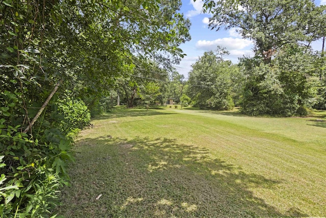 3042 Parish Cemetery Rd, Little Cypress, TX 77632 - view of green lawn