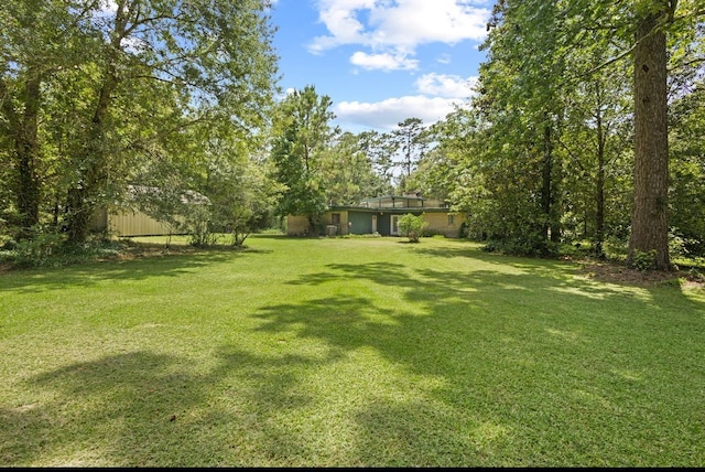 3042 Parish Cemetery Rd, Little Cypress, TX 77632 - view of green lawn