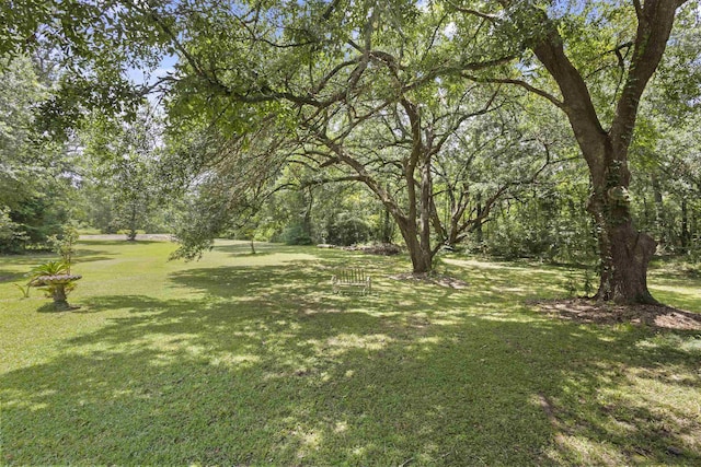 3042 Parish Cemetery Rd, Little Cypress, TX 77632 - view of green lawn