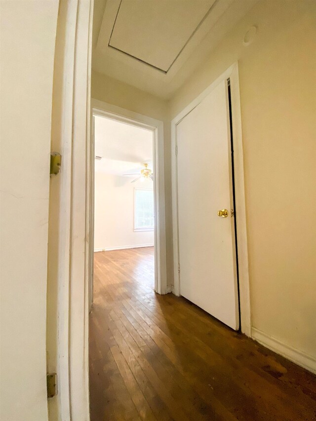 hall featuring hardwood / wood-style floors