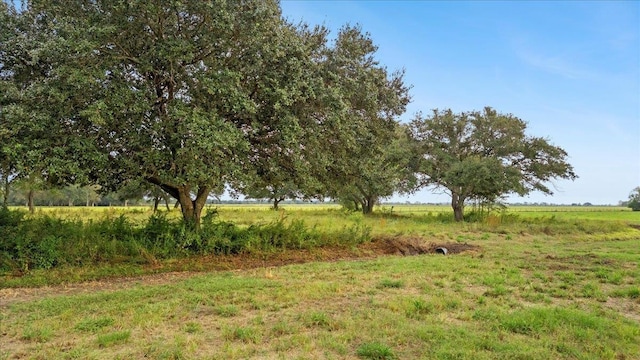 Listing photo 3 for 00000 Wise Rd, Hamshire TX 77622