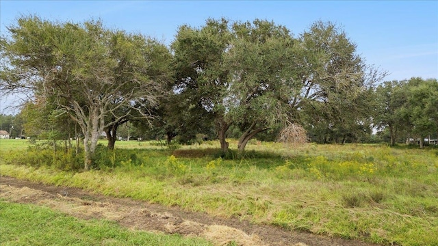 Listing photo 2 for 00000 Wise Rd, Hamshire TX 77622