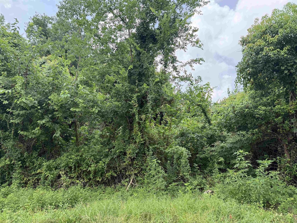 1401 N Hart Ave, Orange, TX 77630 - photo 1