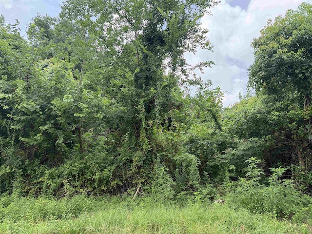 1401 N Hart Ave, Orange, TX 77630 - photo 1