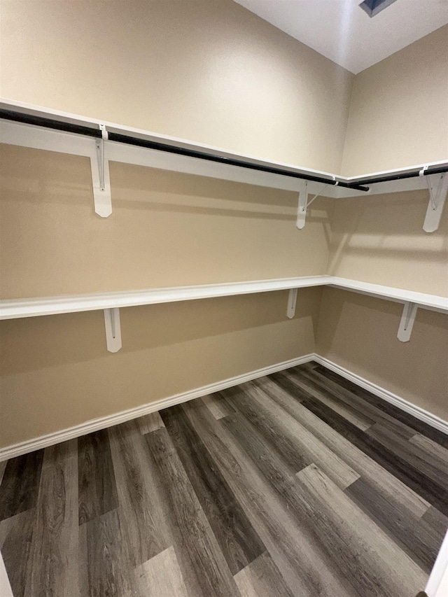 spacious closet featuring dark wood-type flooring