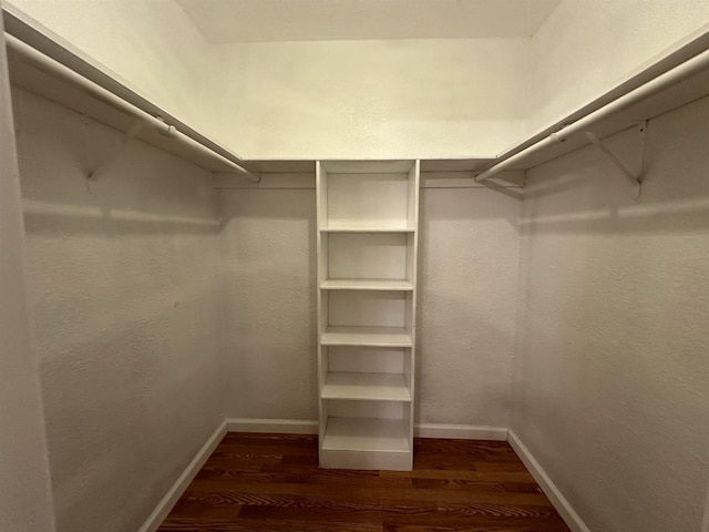 walk in closet with dark wood-type flooring