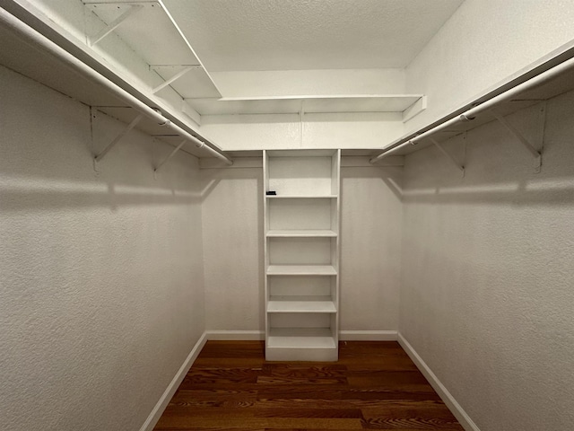 spacious closet featuring dark hardwood / wood-style floors