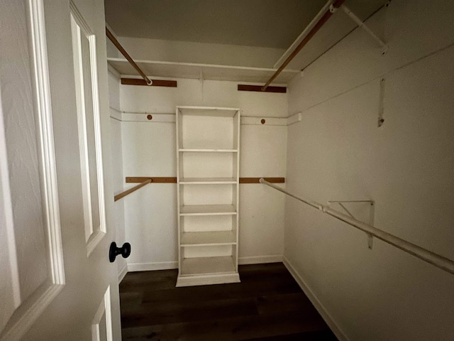 walk in closet featuring dark hardwood / wood-style flooring